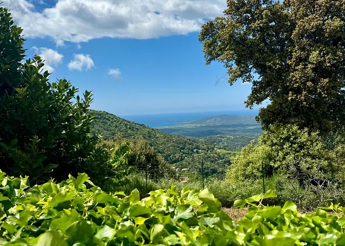Maison A La Campagne. Sollacaro